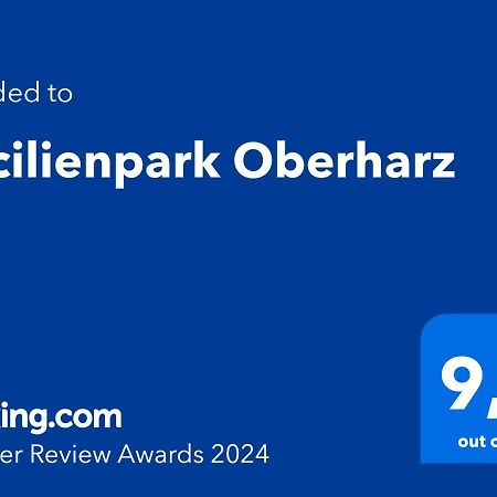Villa Cecilienpark Oberharz Goslar Esterno foto