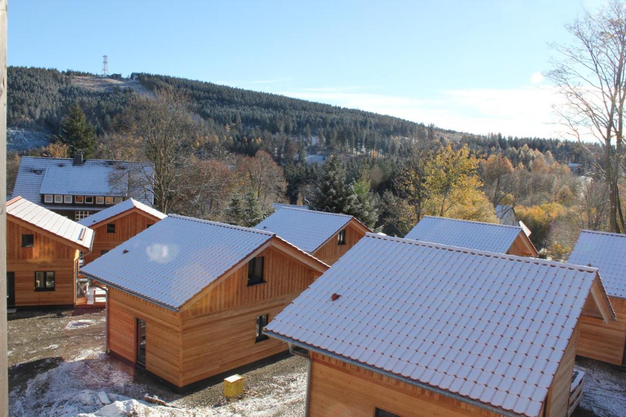 Villa Cecilienpark Oberharz Goslar Esterno foto