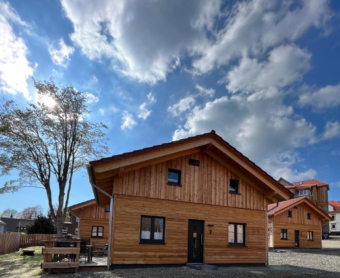 Villa Cecilienpark Oberharz Goslar Esterno foto