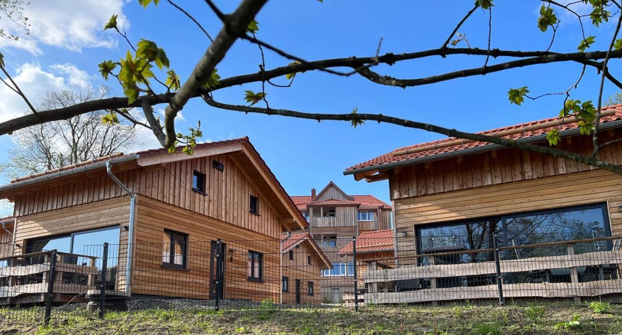Villa Cecilienpark Oberharz Goslar Esterno foto