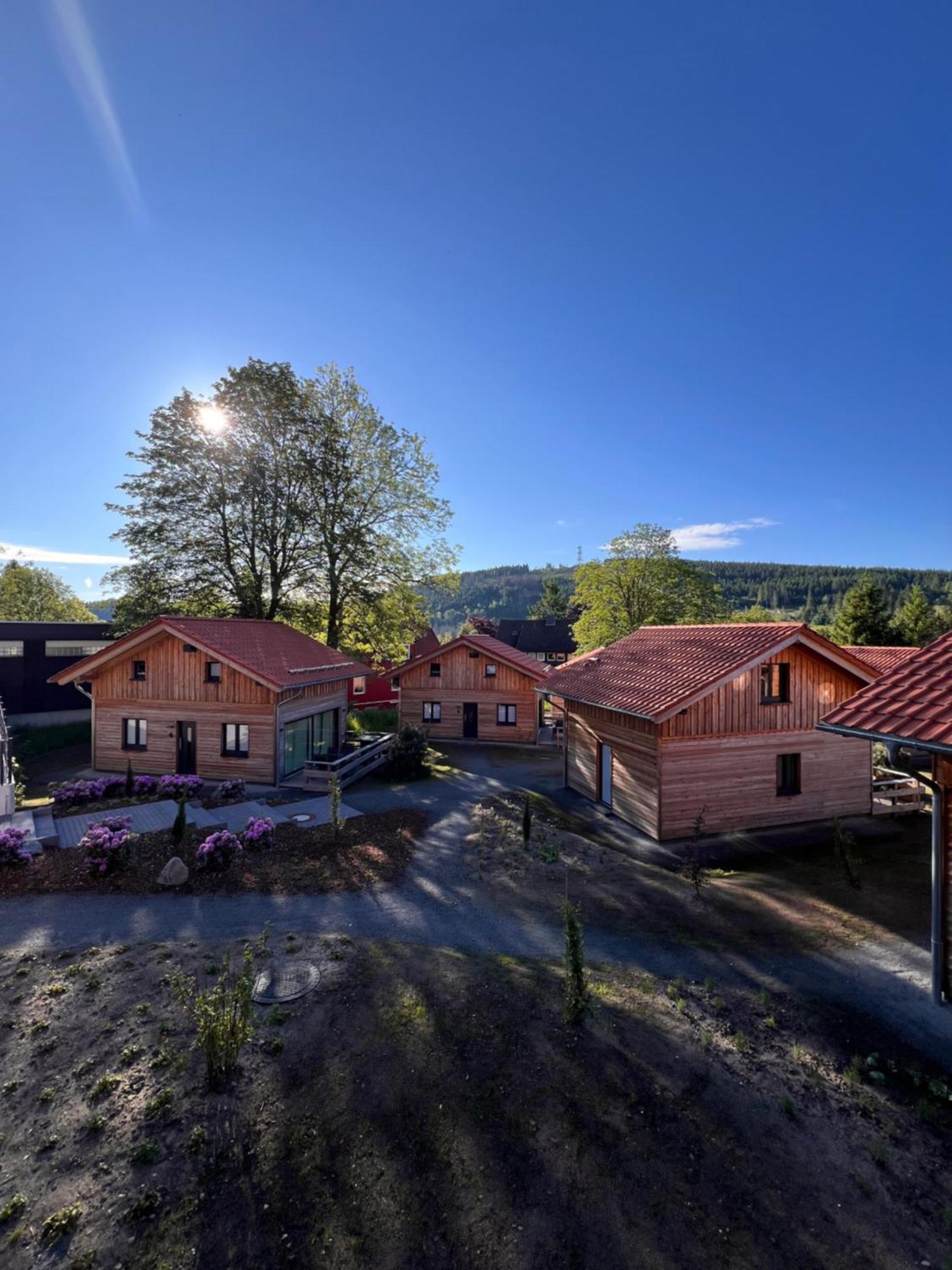 Villa Cecilienpark Oberharz Goslar Esterno foto
