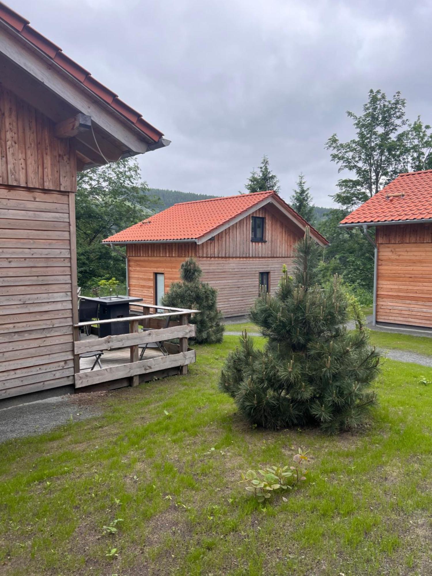 Villa Cecilienpark Oberharz Goslar Esterno foto