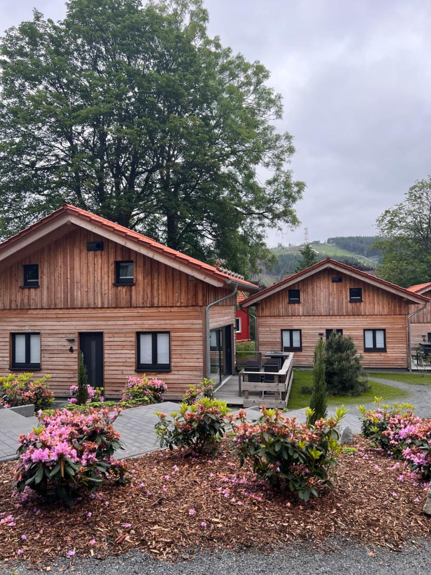 Villa Cecilienpark Oberharz Goslar Esterno foto