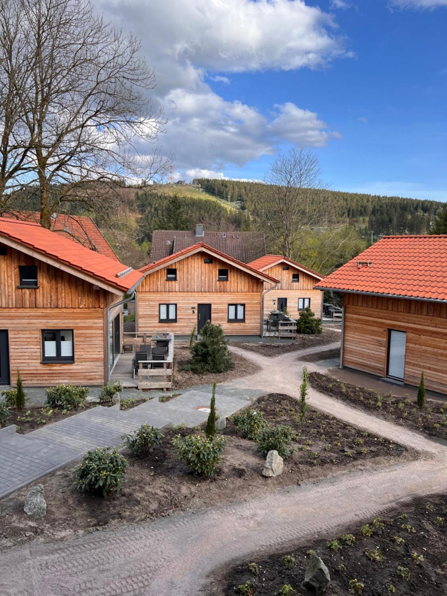 Villa Cecilienpark Oberharz Goslar Esterno foto